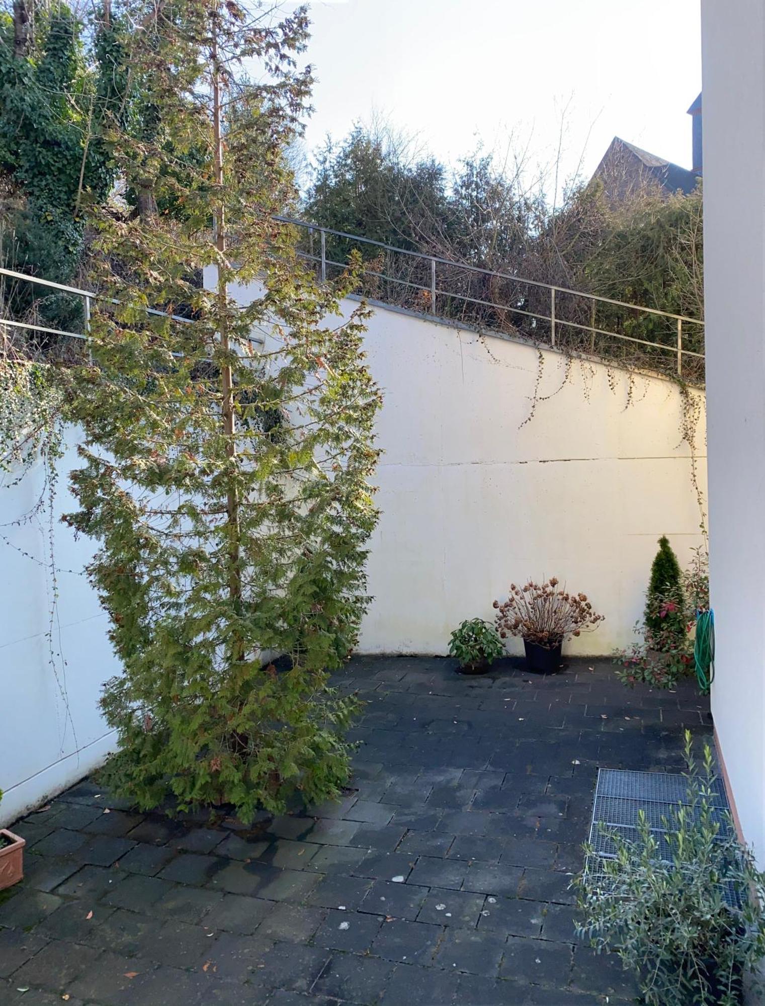 Hotel Traumblick Cochem Rom bilde
